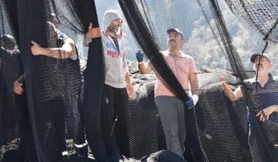 Karadeniz’de hamsi göçtü!