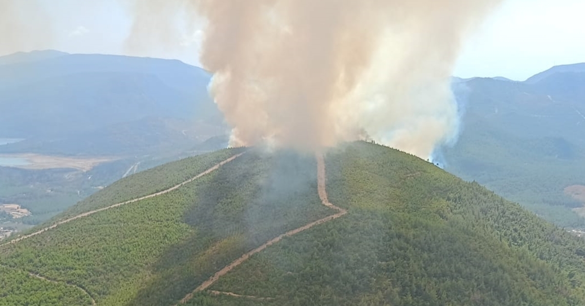 Bolu, İzmir, Isparta ve Afyonkarahisar’da orman yangını