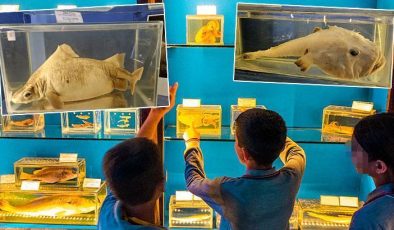 Müze değil mezarlık! Gezen çocuklardan ‘korkunç’ yorumu