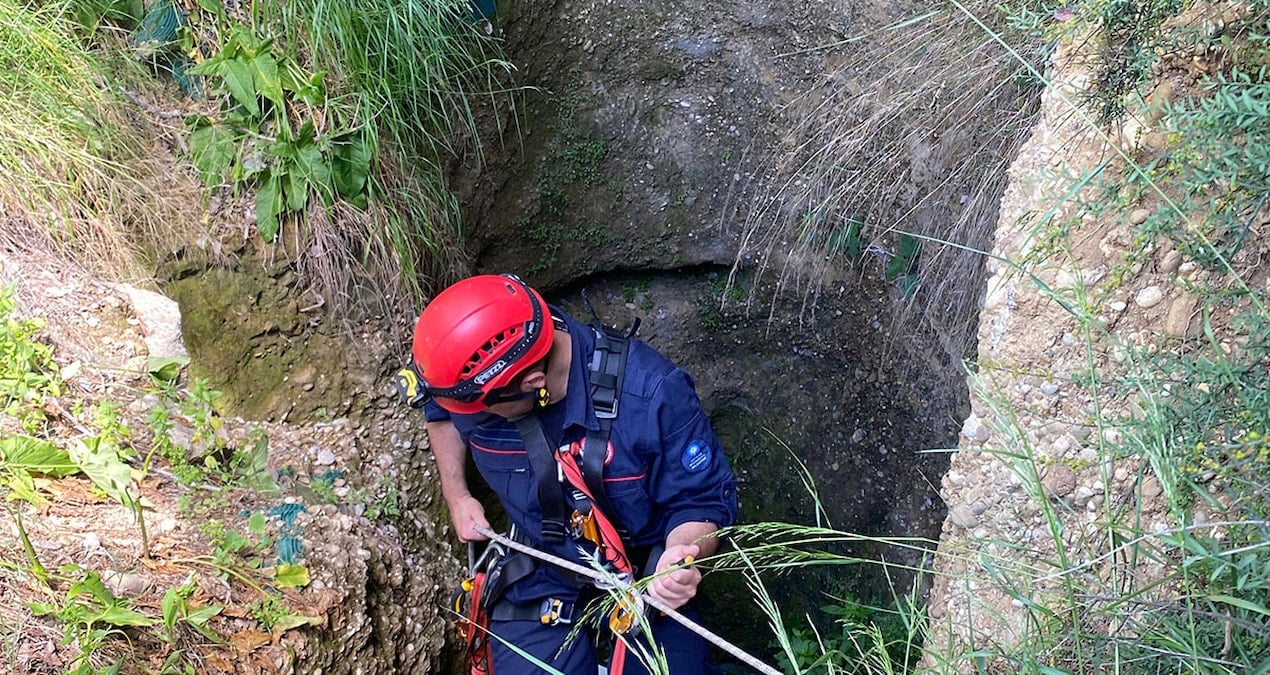 Yedi yavru kuyuya düştü! İtfaiye kurtardı
